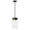 Maxim One Light Pendant