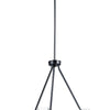 Maxim Six Light Chandelier