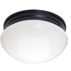 Maxim Two Light Flush Mount