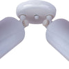 Maxim Two Light Flush Mount