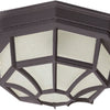 Maxim Two Light Outdoor Ceiling Mount