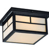 Maxim Two Light Outdoor Ceiling Mount