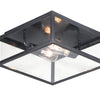 Maxim Two Light Outdoor Ceiling Mount