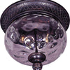 Maxim Two Light Outdoor Ceiling Mount