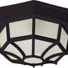 Maxim Two Light Outdoor Ceiling Mount