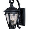 Maxim Two Light Outdoor Wall Lantern
