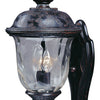 Maxim Two Light Outdoor Wall Lantern