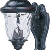 Maxim Two Light Outdoor Wall Lantern