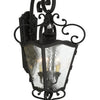 Minka Lavery Brixton Ivy Three Light Outdoor Lantern in Coal with Honey Goldd Highlight