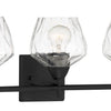 Minka Lavery Camrin Three Light Bath in Coal