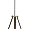 Minka Lavery Eden Valley Three Light Pendant/Semi Flush Mount in Smoked Iron with Aged Gold
