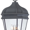 Minka Lavery Harrison Four Light Chain Hung in Coal