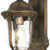 Minka Lavery Havenwood One Light Outdoor Wall Mount in Tauira Bronze And Alder Silver