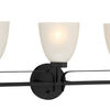 Minka Lavery Kaitlen Three Light Bath in Coal