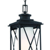 Minka Lavery Lansdale One Light Chain Hung Outdoor in Coal