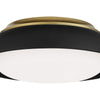 Minka Lavery LED Flush Mount in Coal with Honey Gold Highlight
