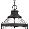 Minka Lavery Libre Four Light Outdoor Chain Hung in Coal