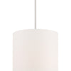 Minka Lavery Palmetto Four Light Pendant in Polished Nickel
