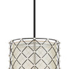 Minka Lavery Sheer Elegance Four Light Pendant in Coal