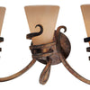 Minka Lavery Tofino Three Light Bath in Tofino Bronze