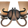 Minka Lavery Tofino Two Light Bath in Tofino Bronze