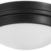 Minka Lavery Two Light Flush Mount in Coal