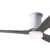 Modern Fan Co 54"Ceiling Fan
