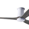 Modern Fan Co 54"Ceiling Fan