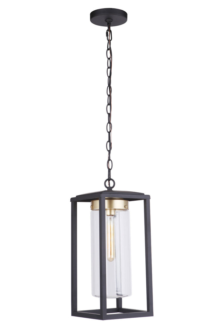 Neo One Light Outdoor Pendant in Midnight/Satin Brass