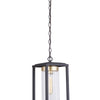 Neo One Light Outdoor Pendant in Midnight/Satin Brass