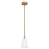 Nolita One Light Mini Pendant in Alturas Gold