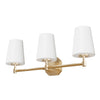 Nolita Three Light Vanity in Alturas Gold
