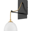 Nula LED Wall Sconce in Shell White