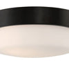Oak Street Two Light Flushmount in Flat Black