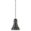 Oliver LED Pendant in Black