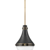 Oliver LED Pendant in Black