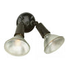 Par Holders Two Light PAR Holder in Black