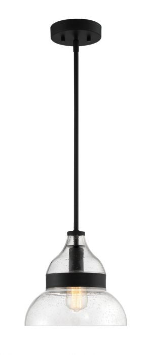 Pendant One Light Mini Pendant in Flat Black