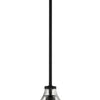 Pendant One Light Mini Pendant in Flat Black