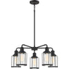 Quoizel Five Light Chandelier