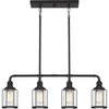 Quoizel Four Light Linear Chandelier