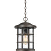 Quoizel One Light Outdoor Hanging Lantern