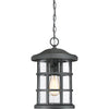 Quoizel One Light Outdoor Hanging Lantern