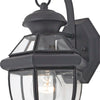 Quoizel One Light Outdoor Wall Lantern