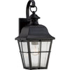 Quoizel One Light Outdoor Wall Lantern