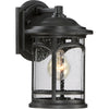 Quoizel One Light Outdoor Wall Lantern