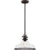 Quoizel One Light Pendant