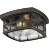 Quoizel Two Light Outdoor Flush Mount