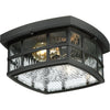 Quoizel Two Light Outdoor Flush Mount