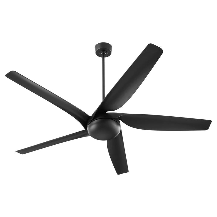 Quorum 65" Fury Smart Indoor/Outdoor DC 24W LED Ceiling Fan with Wall Control